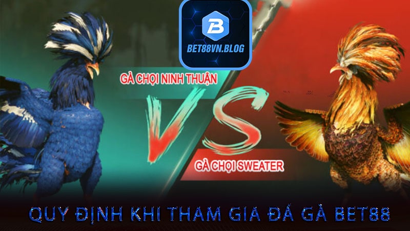 Quy định khi tham gia đá gà bet88